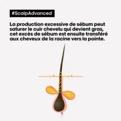 Argile Purifiante 2-en-1 Cheveux Gras Scalp Advanced L'Oréal Professionnel 500ML -Hair Care Soldes argile purifiante 2 en 1 cheveux gras scalp advanced l oreal professionnel 500ml 5