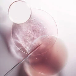 Bain Riche Cheveux Normaux à épais Chroma Absolu Kérastase 250ML -Hair Care Soldes bain riche cheveux normaux a epais chroma absolu kerastase 250ml 6