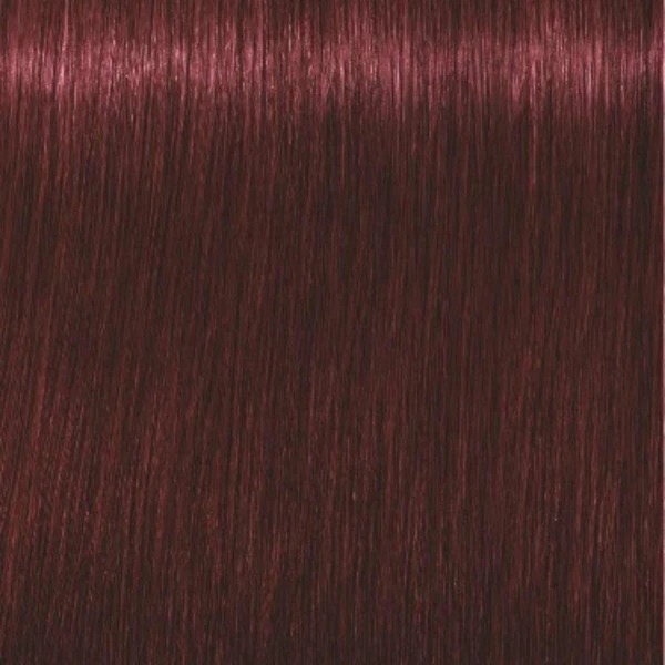 Schwarzkopf Coloration Igora Royal 4-88 Châtain Rouge Extra 60ML 2 Schwarzkopf Coloration Igora Royal 4-88 Châtain Rouge Extra 60ML – Image 2