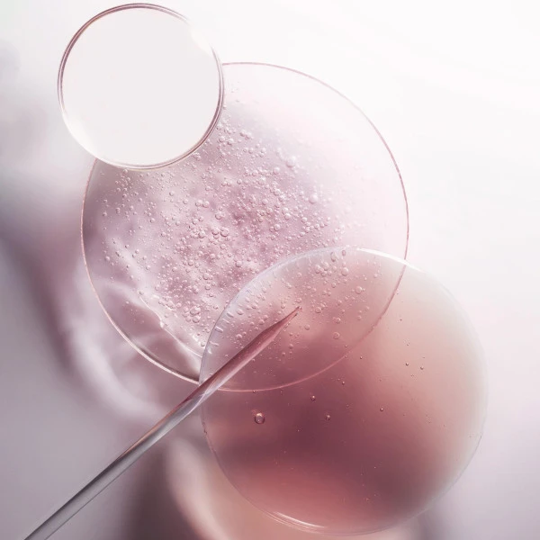 Masque Filler Chroma Absolu Kérastase 200ML 7 Masque Filler Chroma Absolu Kérastase 200ML – Image 7