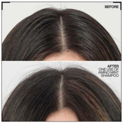 Shampooing Cheveux Gras & Pointes Sèches Amino Mint Redken 300ML 7 Shampooing Cheveux Gras & Pointes Sèches Amino Mint Redken 300ML -Hair Care Soldes shampooing cheveux gras pointes seches amino mint redken 300ml 2