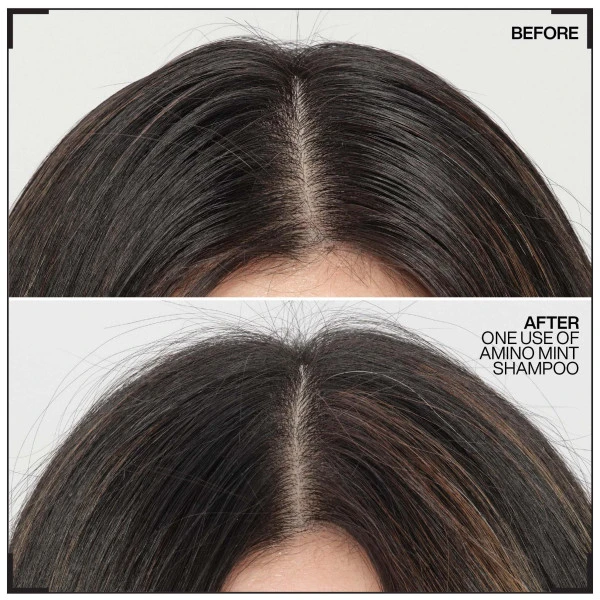 Shampooing Cheveux Gras & Pointes Sèches Amino Mint Redken 300ML 3 Shampooing Cheveux Gras & Pointes Sèches Amino Mint Redken 300ML – Image 3